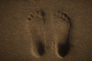 VTCT Online Anatomy for Reflexology