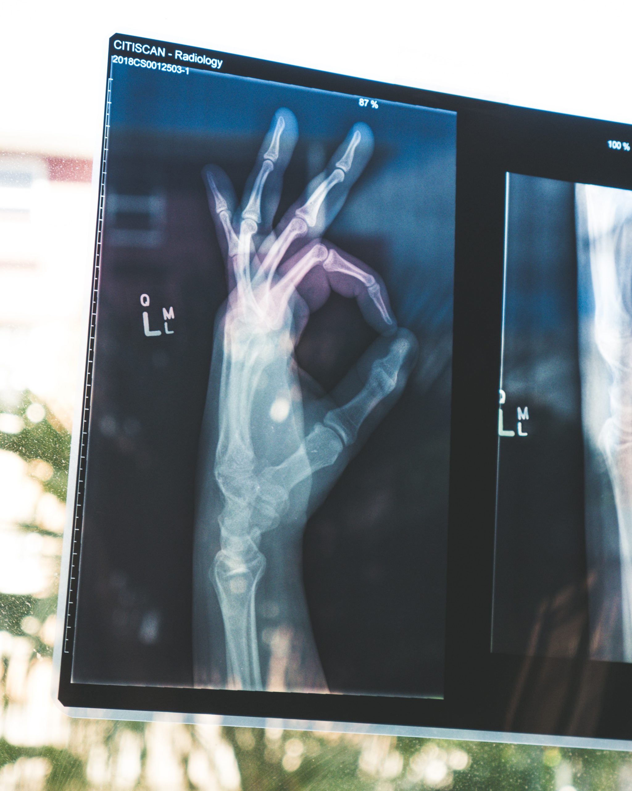 iTEC Anatomy and Physiology Qualification