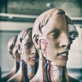 Online iTEC Level 3 Anatomy and Physiology