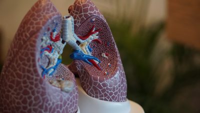 VTCT Certificate in Anatomy and Physiology
